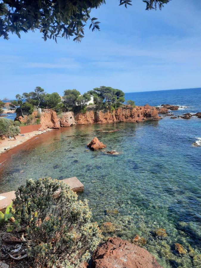 Campeggio Grand Mobilhome Spacieux 8 Places Frejus/straphael